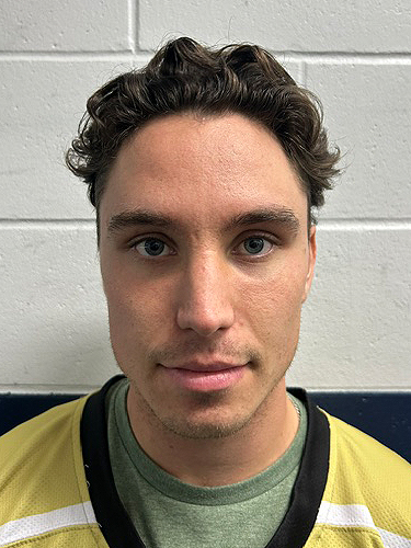 Landen Sitarz